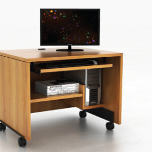 IOF_custom_specifications_B2016-22